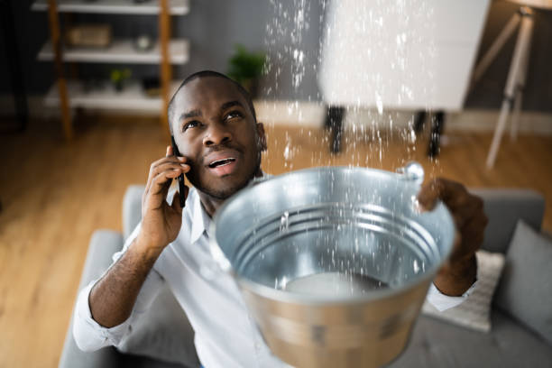Best Flood damage cleanup  in Hawaiian Gardens, CA