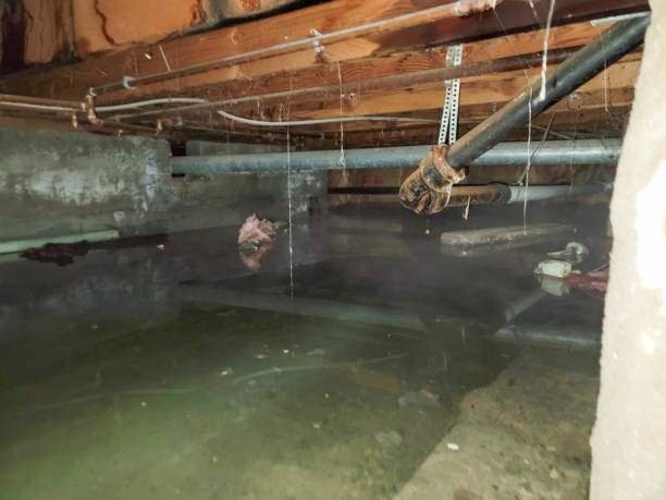 Best Sewage cleanup and water damage restoration  in Hawaiian Gardens, CA
