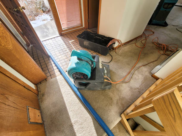 Best Flood restoration services  in Hawaiian Gardens, CA