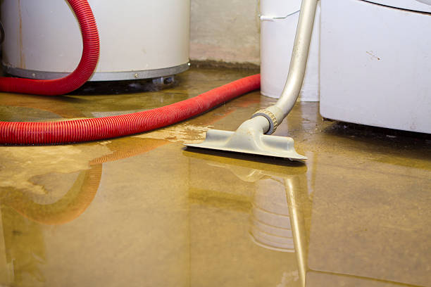 Trusted Hawaiian Gardens, CA Water damage restoration Experts