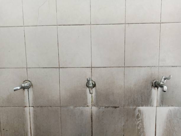 Best Local water damage restoration  in Hawaiian Gardens, CA