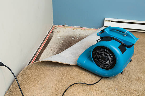 Sewage cleanup and water damage restoration in Hawaiian Gardens, CA